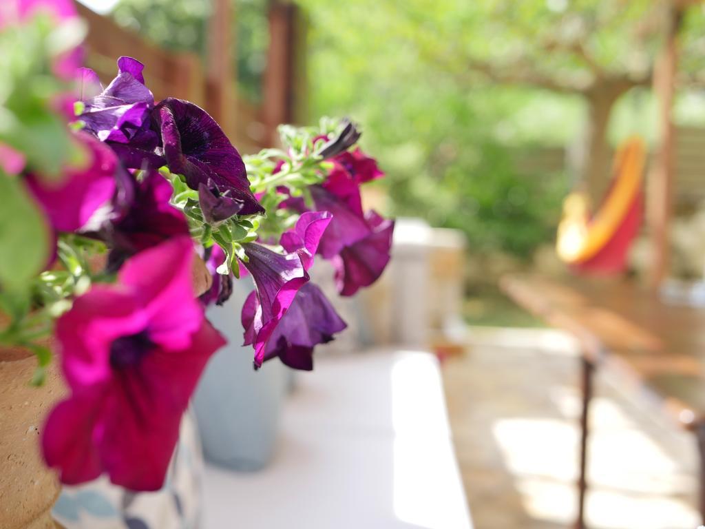 Villa Victoria Boutique Apartments Sívota Exteriér fotografie